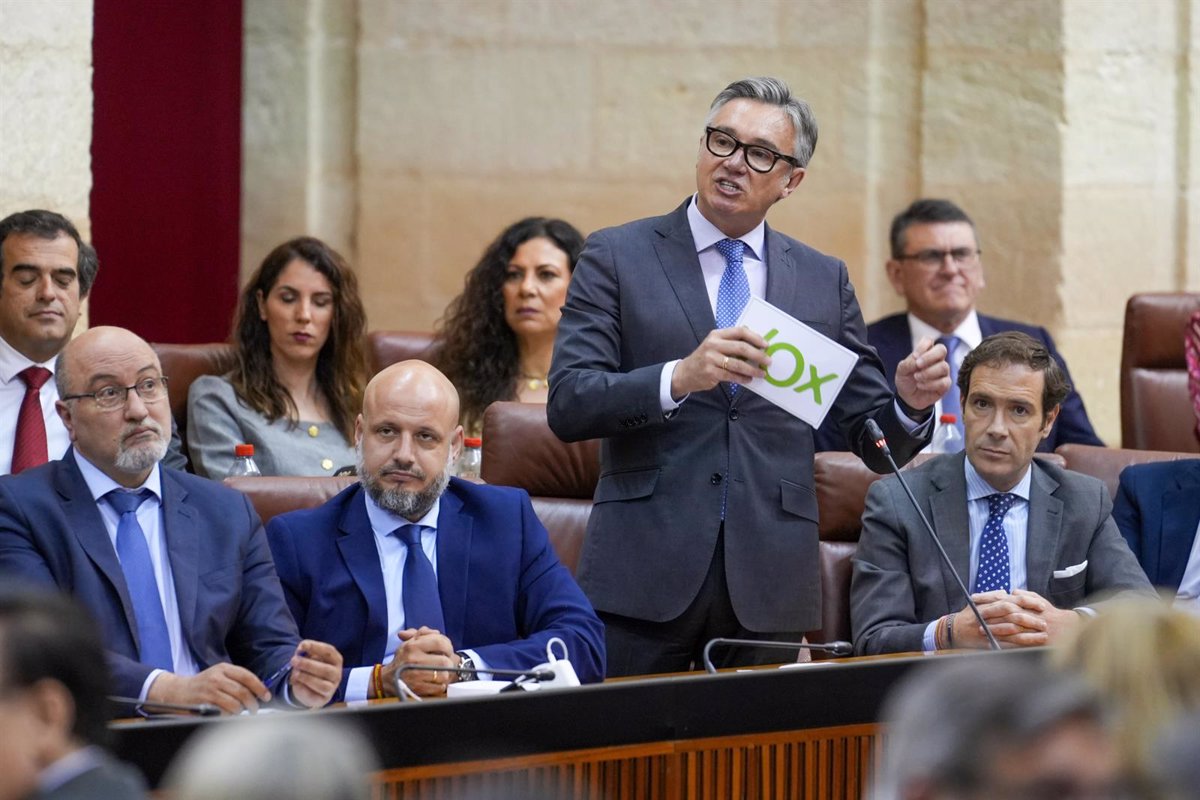 Vox critique PP-A et PSOE-A pour rejeter au Parlement une PNL sur les mineurs migrants: "Ils ont gagné les mafias"