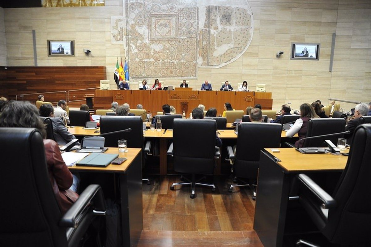Les tarifs, la panne électrique et les mineurs migrants se concentrent sur la plénière de l'assemblage de ce jeudi