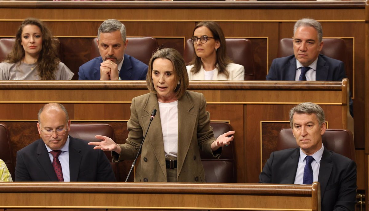 Le PP nie les affectations de ses principes pour obtenir le soutien de Vox aux budgets de la communauté Valencian