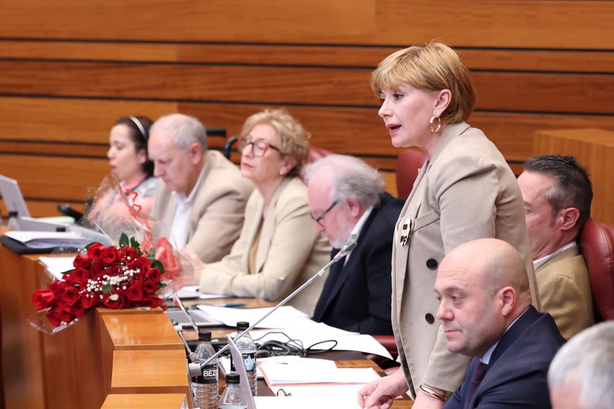 Le PSCyl regrette que le conseil d'administration suit le "argumentaire" de Feijóo à la réception des mineurs migrants pour "chercher des votes"