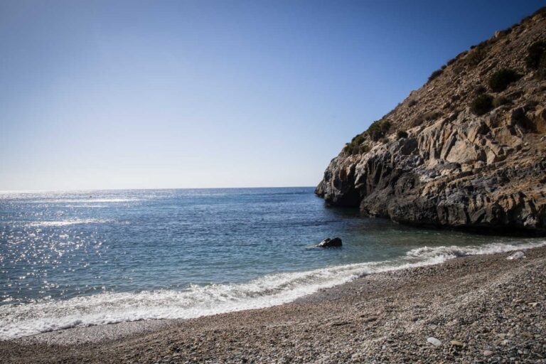 « Nous rejetons tout discours de haine ou d'attitude raciste »