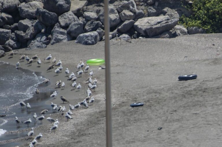 Deux mineurs migrants viennent nager à Ceuta une nuit de pression migratoire élevée
