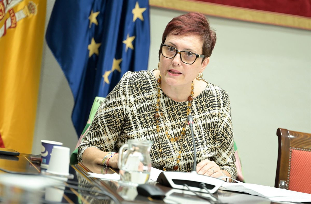 Les îles Canaries affirment que le décret de mineurs migrants "se présente" à toute la CCAA et exige la conformité