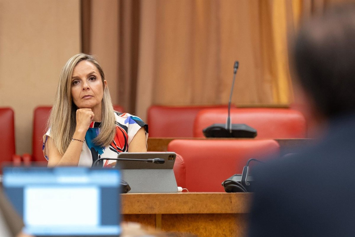 Le PP d'Almería Tacha de "chaotique" la gestion de l'immigration du gouvernement et l'exige d'agir "devant un drame sans précédent"