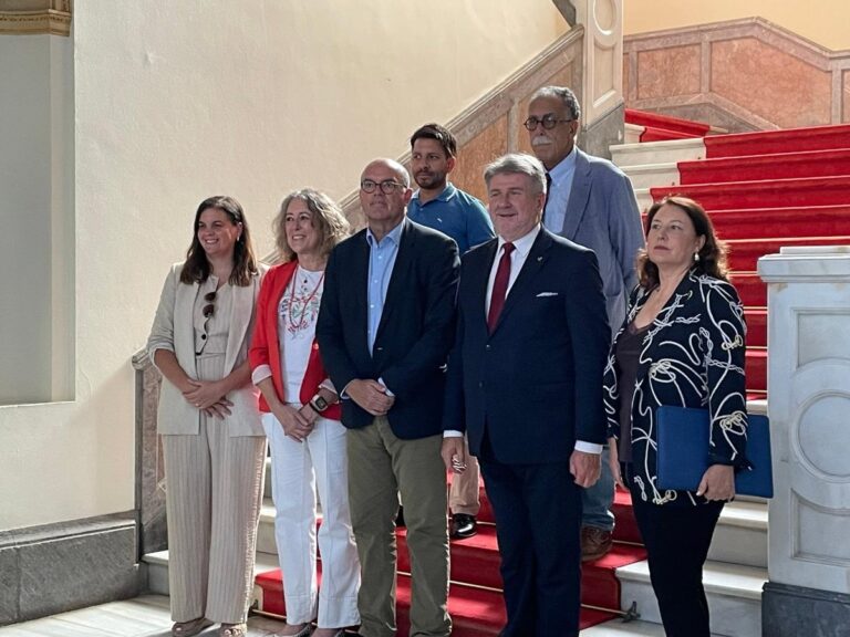 Les MEPS soulignent l'importance de trouver des fonds dans l'UE pour faire face à une migration irrégulière dans les îles Canaries