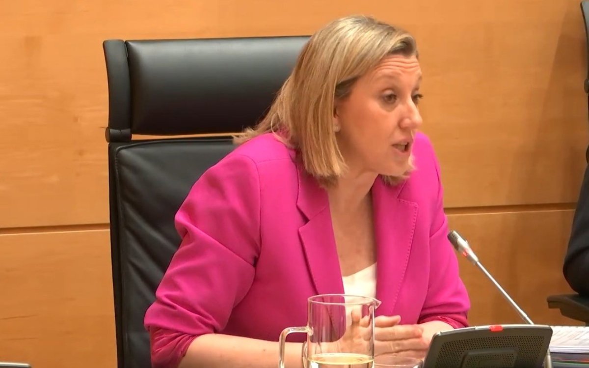 Blanco précise que CyL compte 170 mineurs migrants dans son système et souligne la "solidarité" de la Communauté