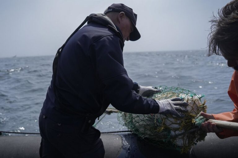 Le PSOE promeut un changement juridique au Congrès afin que les migrants non européens puissent devenir capitaines de navire