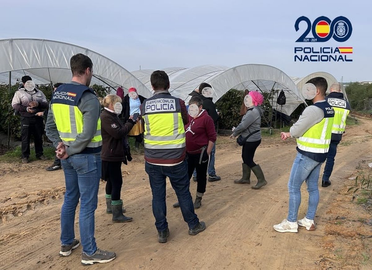 Arrêtée à Huelva pour travail et exploitation sexuelle de femmes migrantes en situation irrégulière engagées dans le secteur agricole
