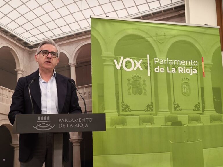 Vox assure que la régularisation massive des immigrés illégaux cache « le remplacement de la population espagnole »