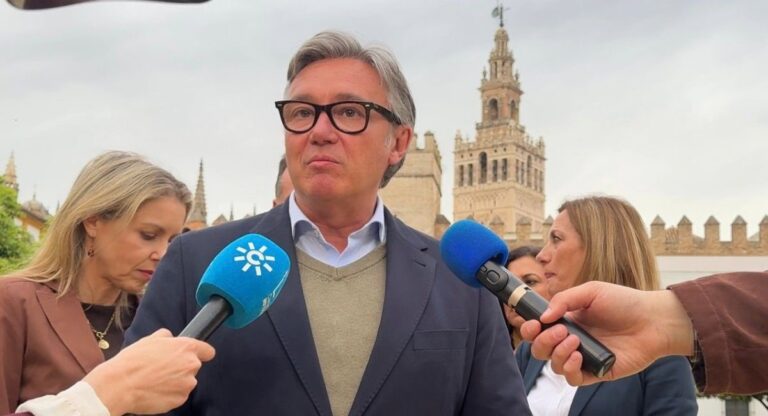 Vox met en garde contre « une augmentation de 400% des violations » et la « fermeture de 90% des commerces l'après-midi » en raison de l'immigration clandestine