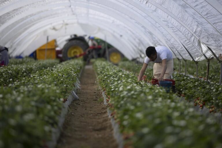 Ils parviennent à un accord avec Asaja et Freshuelva pour insérer les migrants en cours de régularisation sur le marché du travail