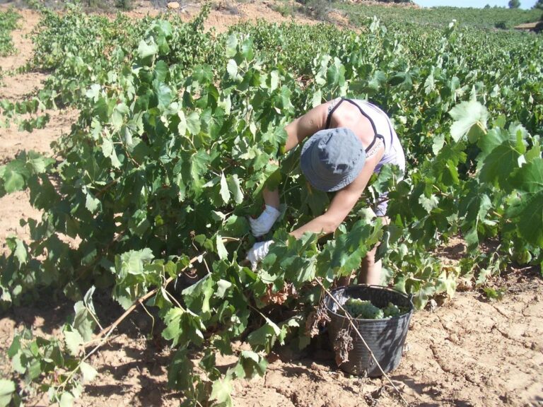 L'UAL identifie les facteurs sociaux et professionnels qui détériorent le bien-être des migrants temporaires