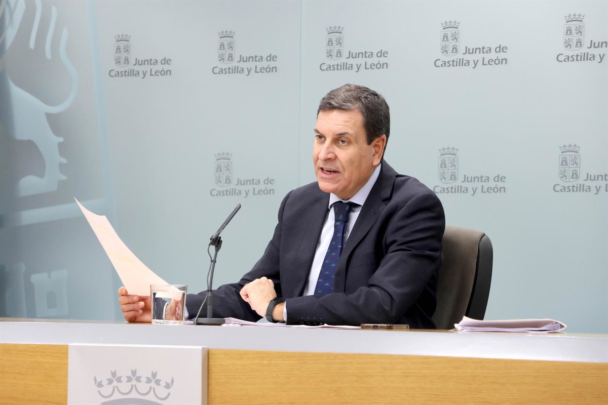 Le Conseil officialise le recours à la régulation : "Quelque chose d'ordonné et ne favorisant pas les mafias illégales aurait été mieux"