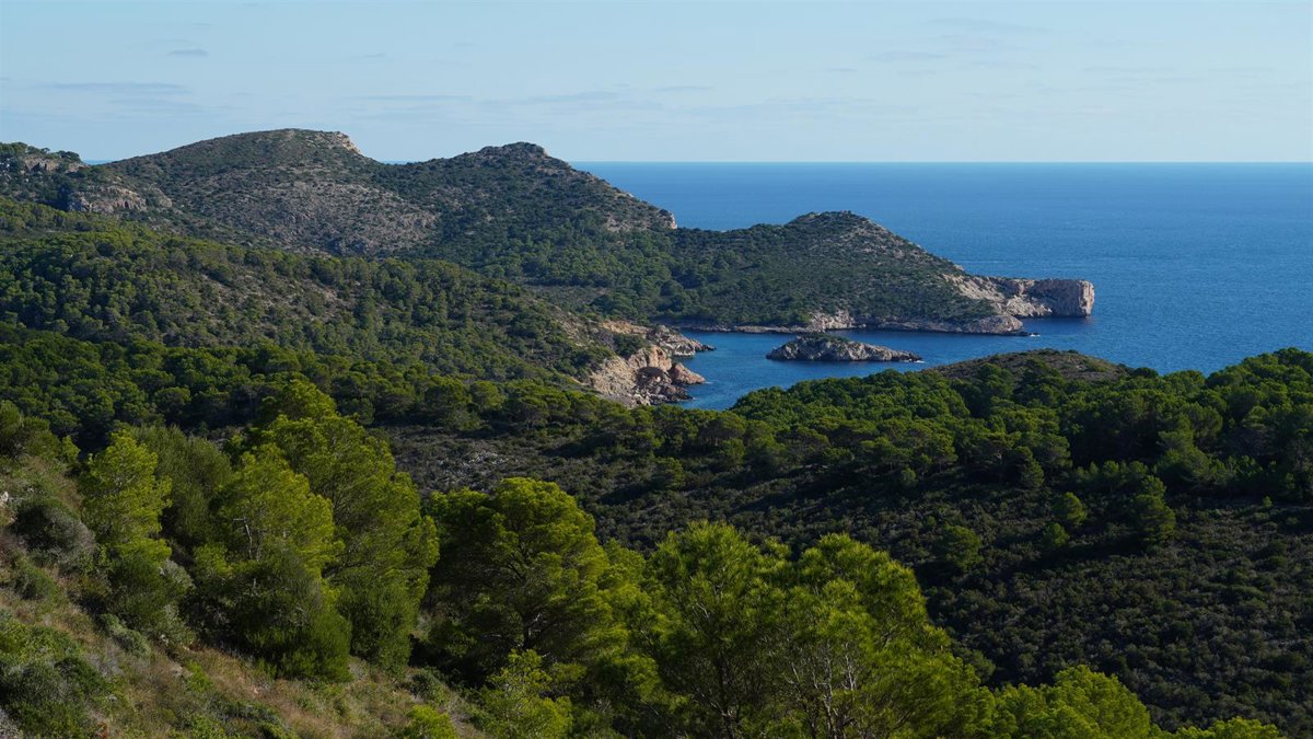Ils interceptent 21 migrants arrivant à Cabrera