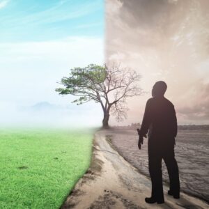 L'OMS définit des priorités en matière de recherche sur la santé des migrants et des personnes déplacées par le changement climatique