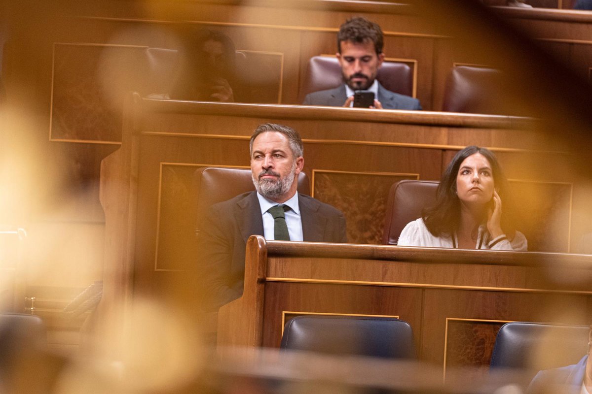 Abascal propose des processus de "rapatriement" pour les immigrés qui commettent des délits et de "remigration" pour ceux qui ne travaillent pas