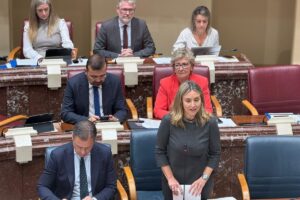 La politique sociale maintiendra l'aide à l'impôt sur le revenu des personnes physiques de 0,7% et refusera d'exclure Rumiñahui comme le prétend Vox