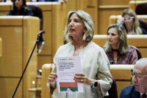 Le Sénat approuve mercredi la commission d'enquête sur l'assaut frontalier à Ceuta promue par le PP