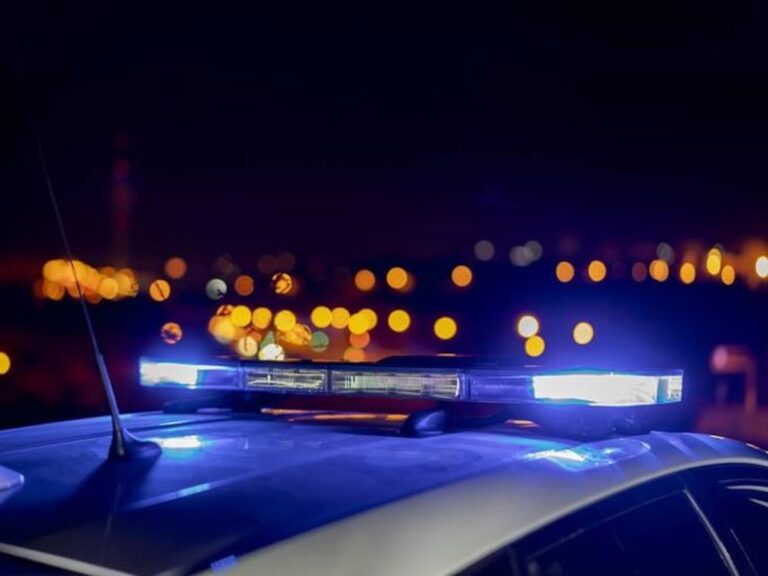 La police est déployée à Guano pour expulser le dernier grand campement d'immigrants illégaux
